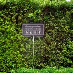 The Park Nine Suvarnabhumi : บริการสำหรับผู้พิการ
